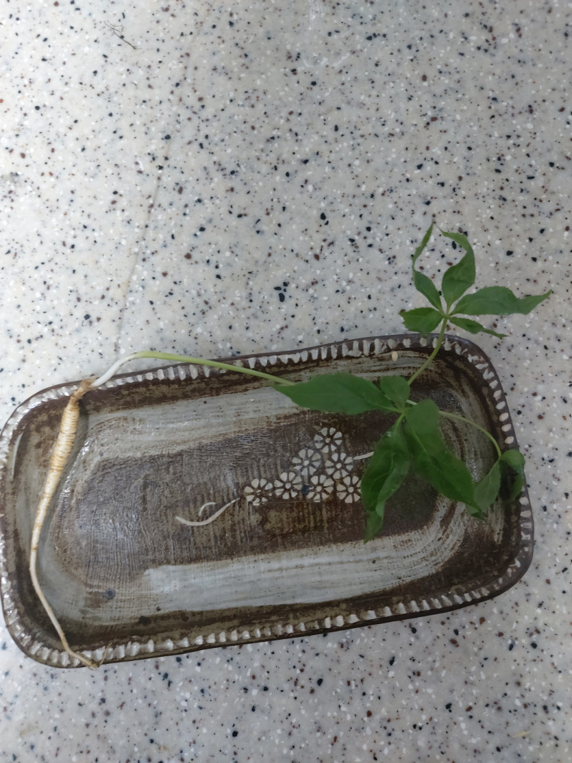 멘탈 털릴땐(0)