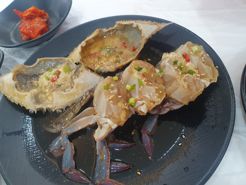 오늘의 점심(0)