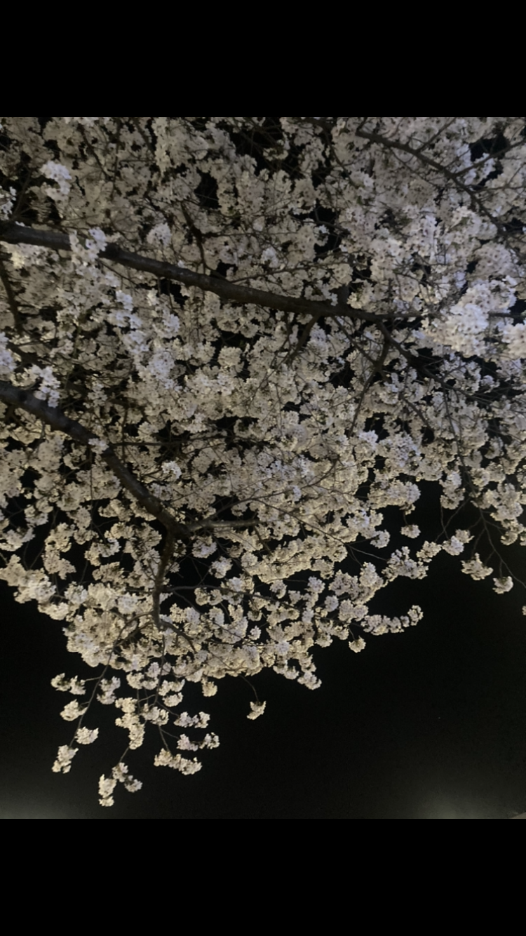 좋은밤(0)
