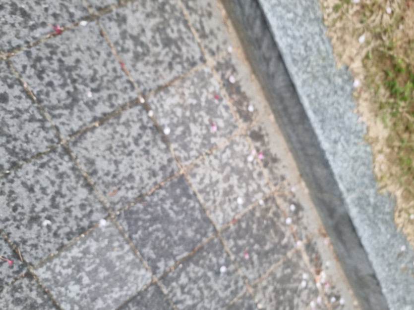 비온당(0)