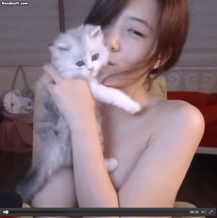 고양이 좋아해?(0)