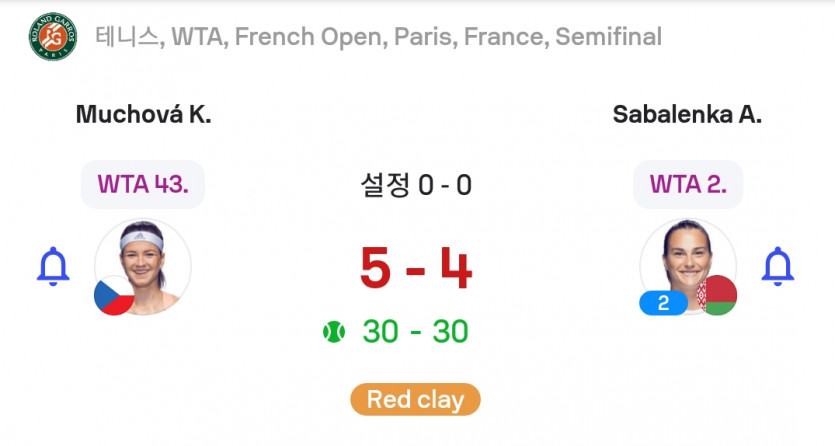 롤랑가로스 어쩐일로(0)