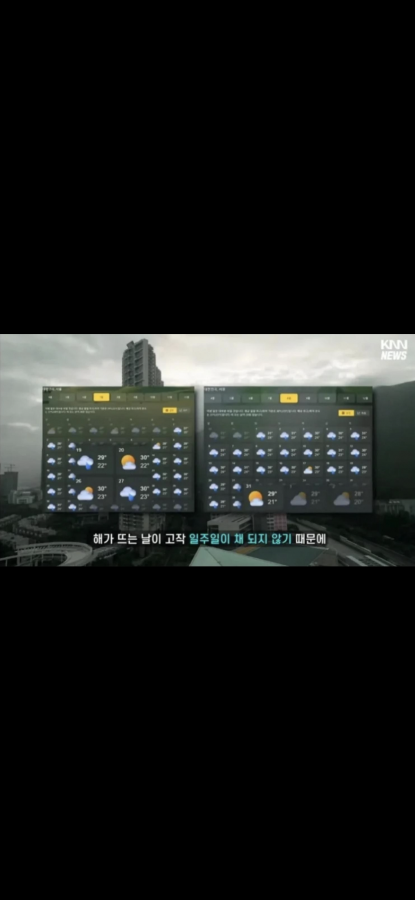 이번 여름 해 뜨는 날이 몇일없다네요..(0)