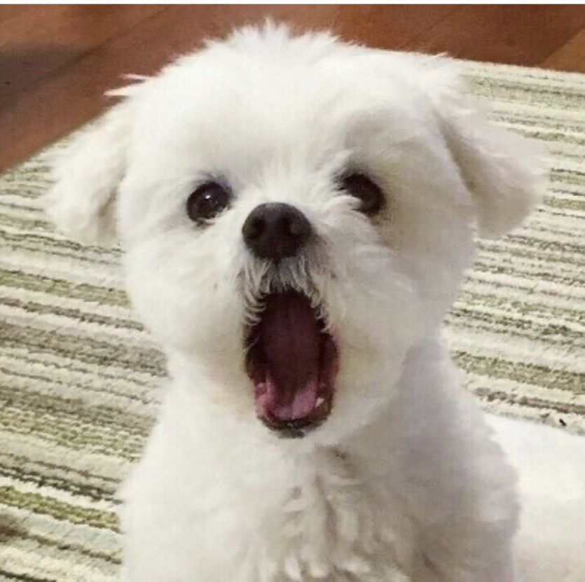 노트님 진짜 넘사다..(0)