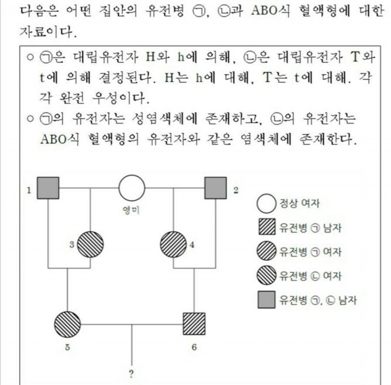개족보레전드.jpg(0)