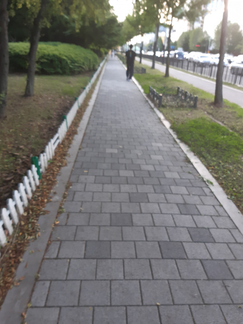 산책(0)