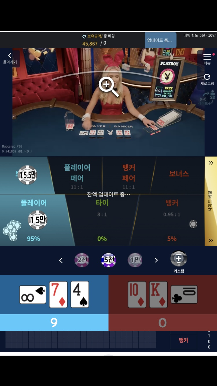 일당 깡벳 6일차(0)
