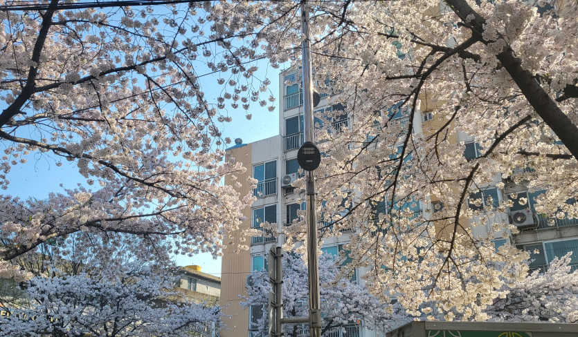 좋은 휴일 되세요(0)