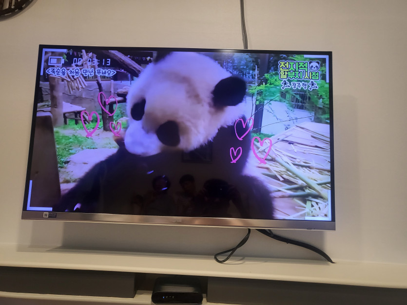 푸바오님 tv에나오네요?(0)