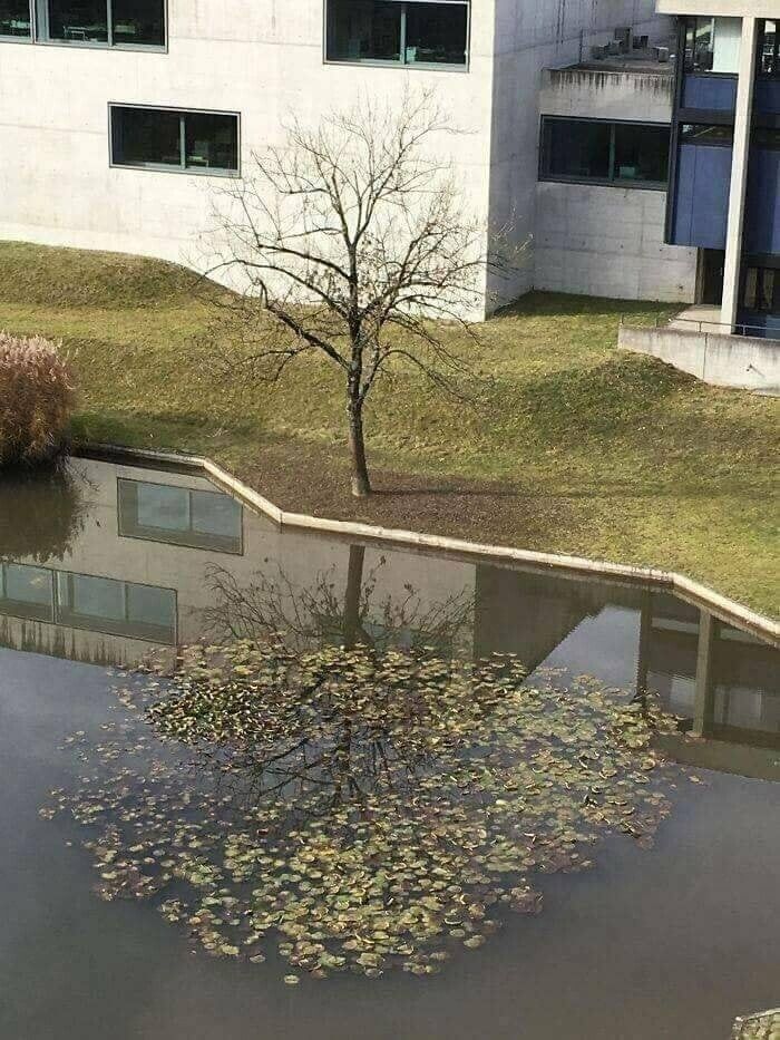 탈모갤 퓰리처상.jpg(0)