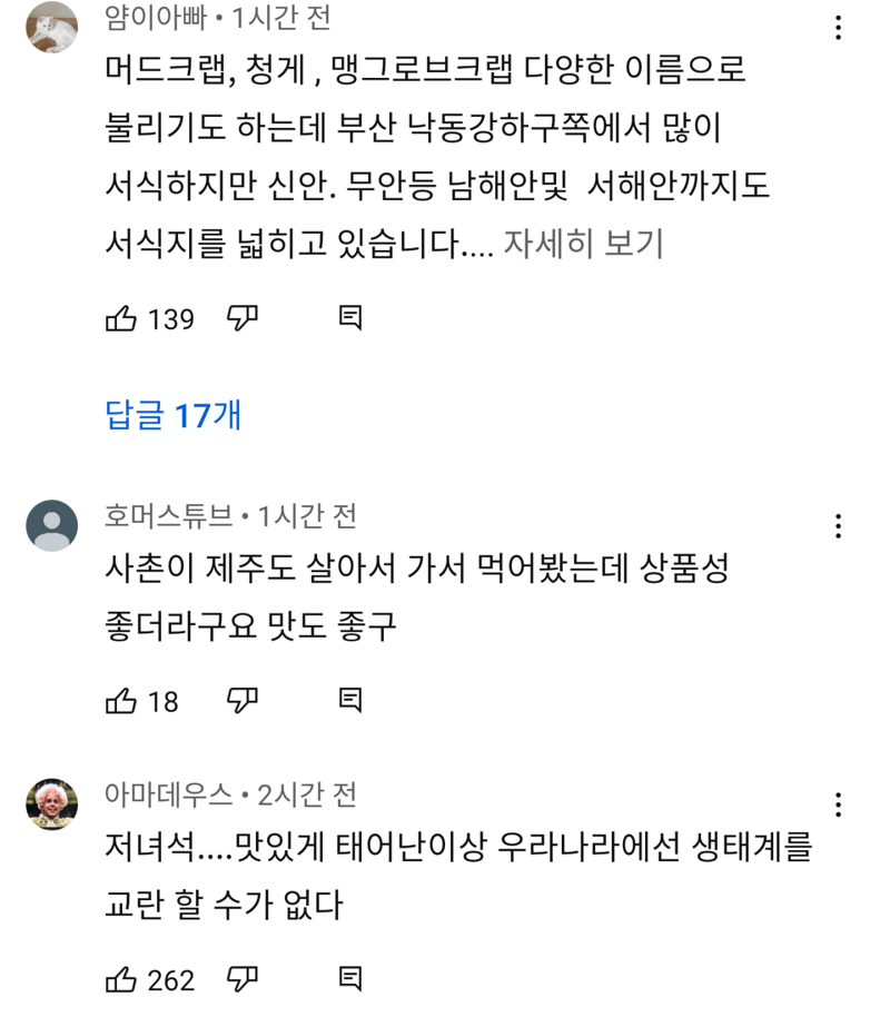 제주 바다에 나타난 외래종 최상위 포식자.jpg(2)