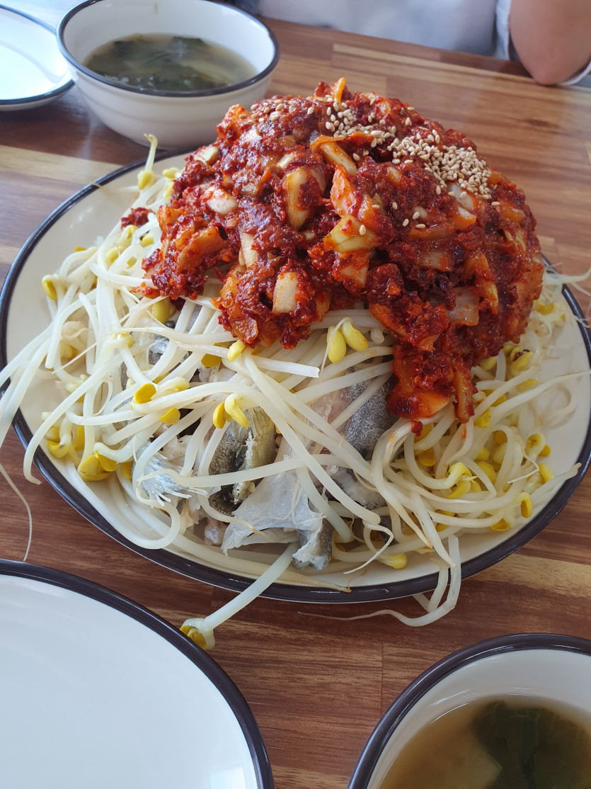 오늘의 점심(0)