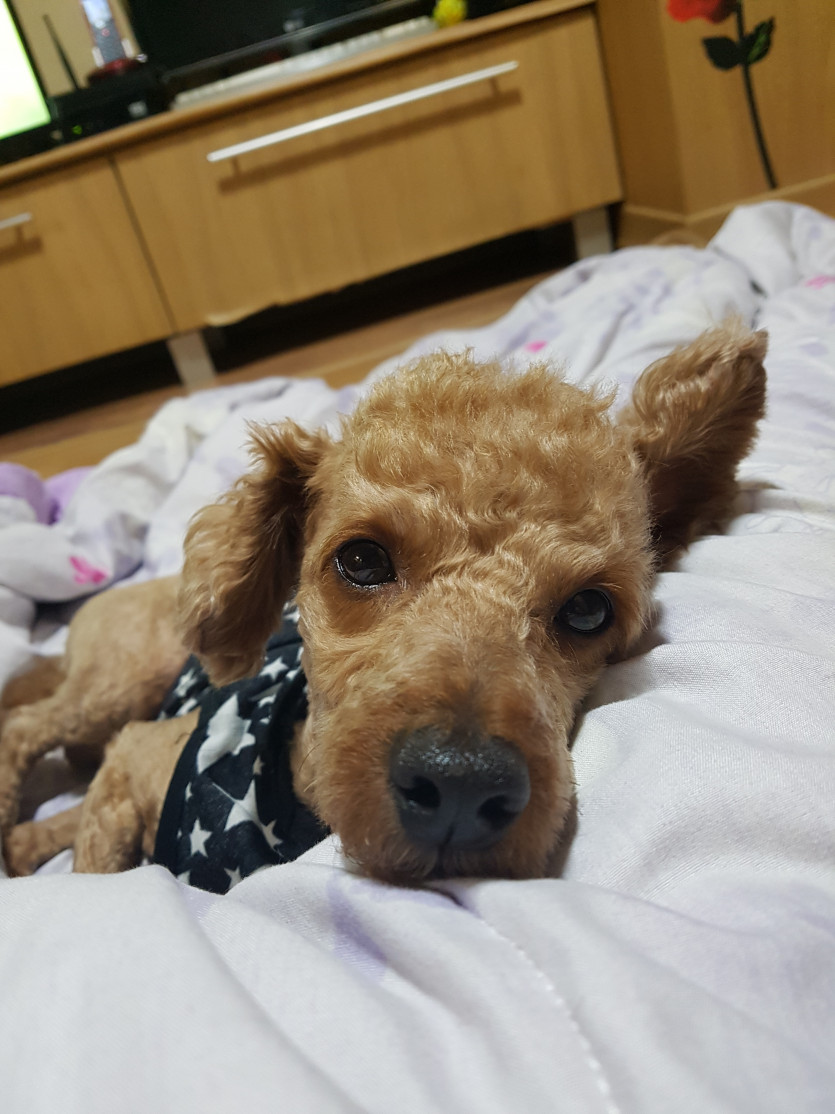 먼저 들어갑니다.(0)