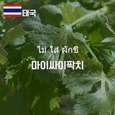 (0)