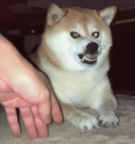 (0)