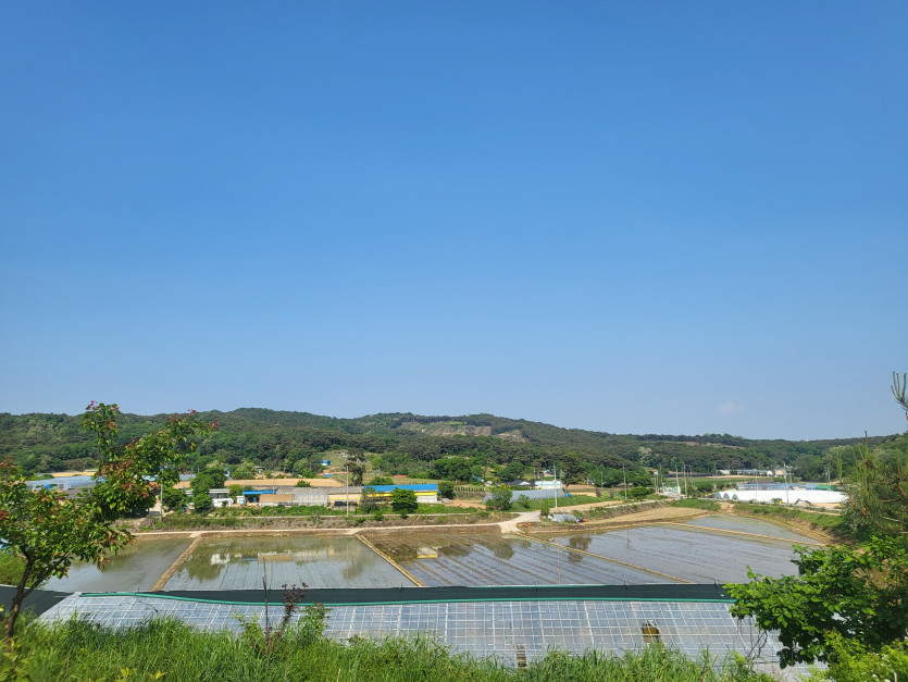 이제 집에 가려고합니다.(1)