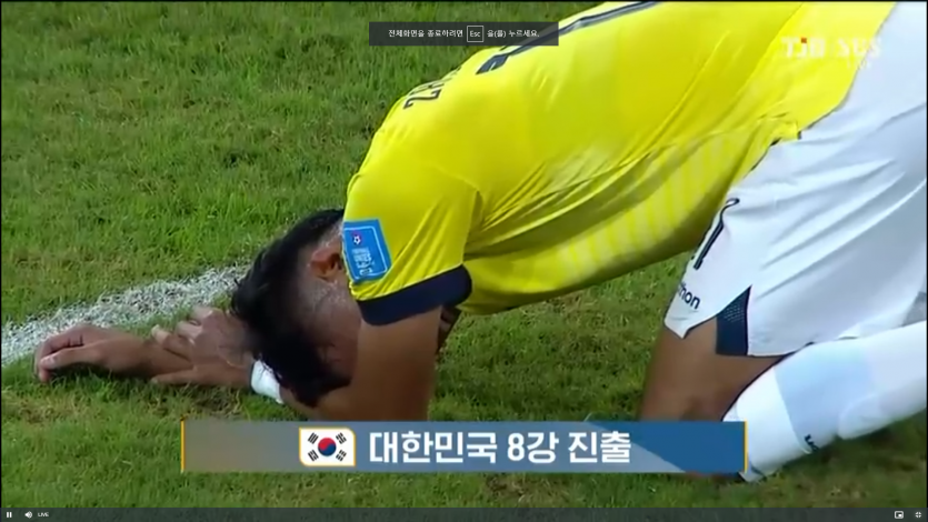 대한민국(0)