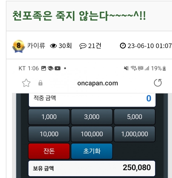 천포족의 성공적인 하루^^(0)
