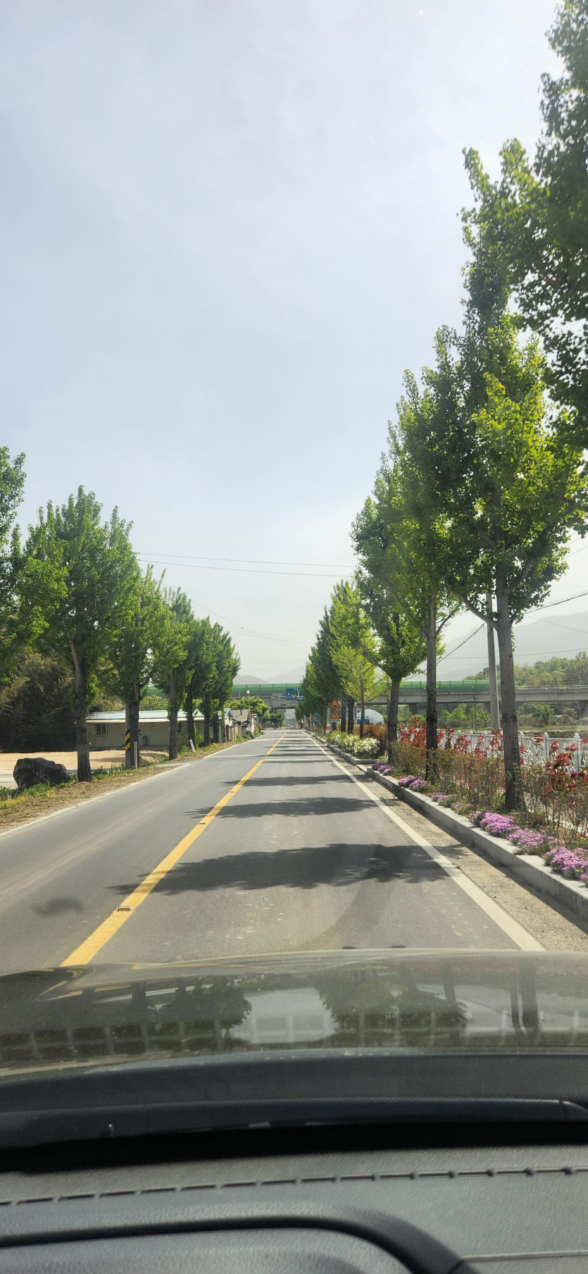 함안 한우국밥(1)