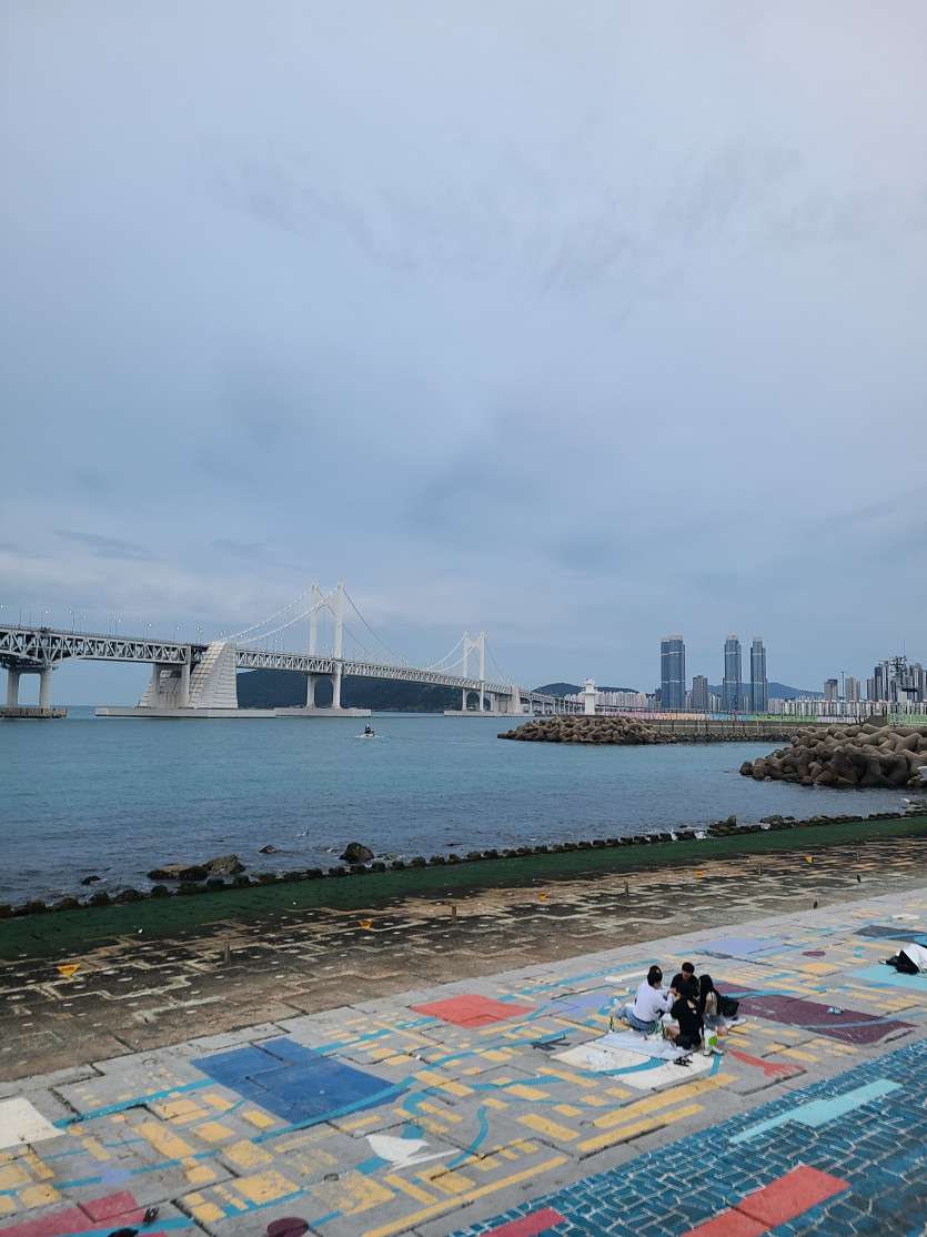 진짜 진짜 이제는 잘려구요(0)