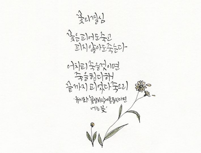 오늘의 시(1)
