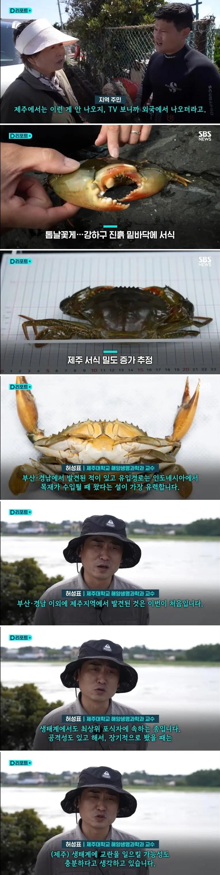 제주 바다에 나타난 외래종 최상위 포식자.jpg(0)