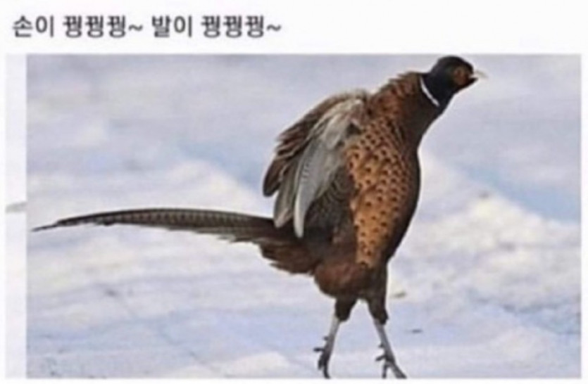 날씨가춥네요(0)