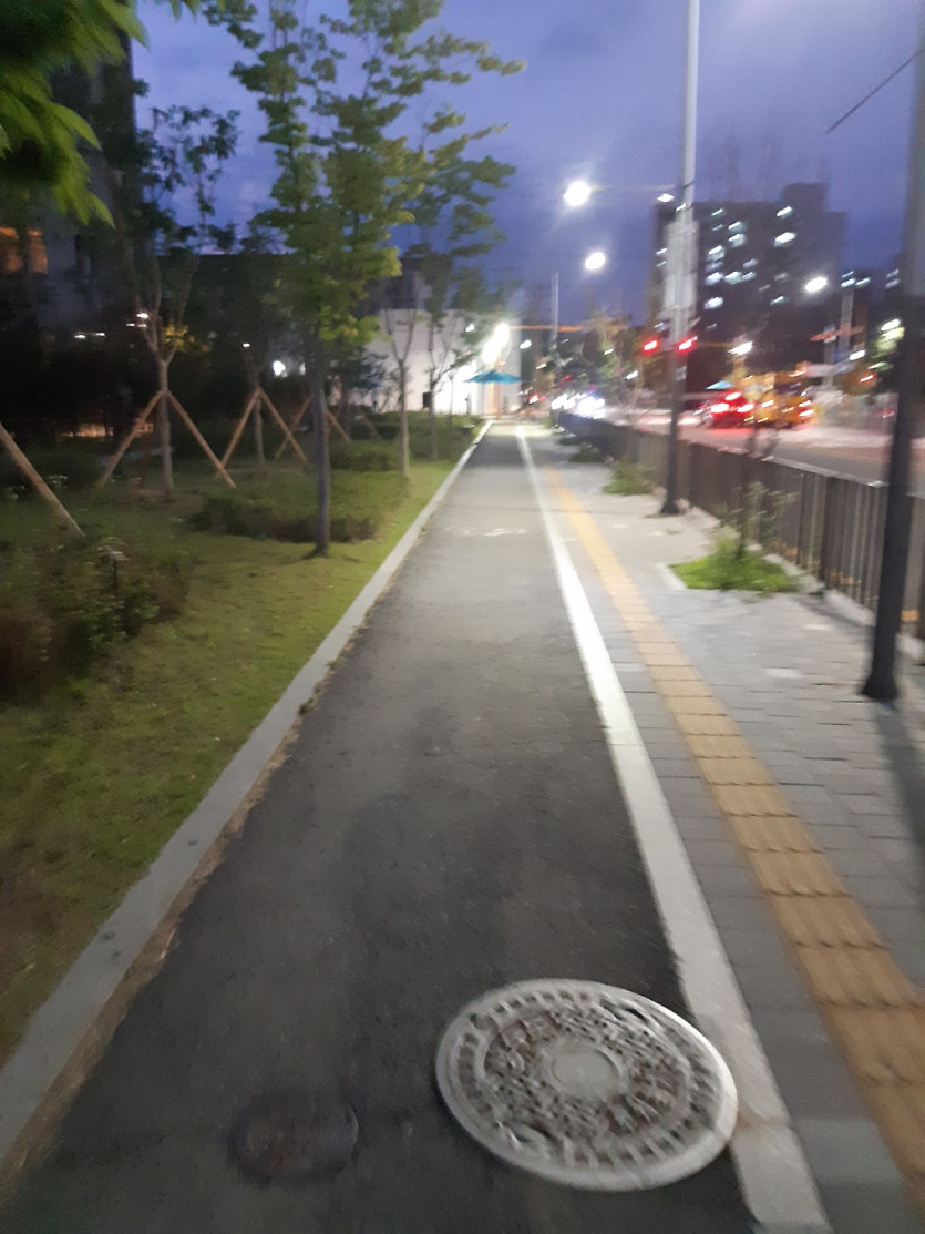 산책 후기...(1)