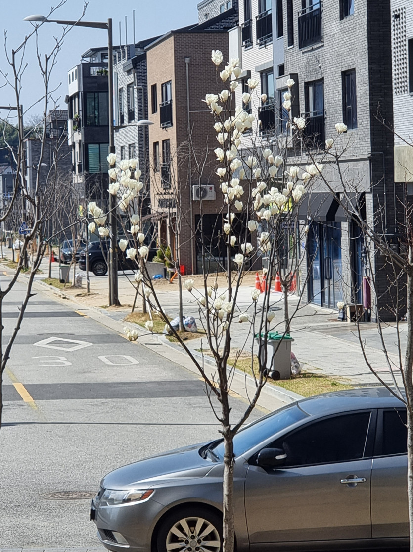 날씨좋네요(0)