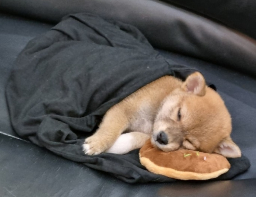 오늘 하루도 고생한 당신께~~~~^^(0)