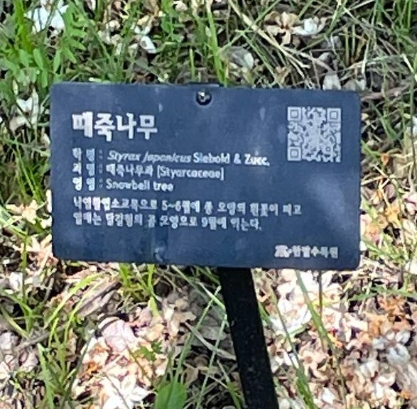 떼죽음(1)