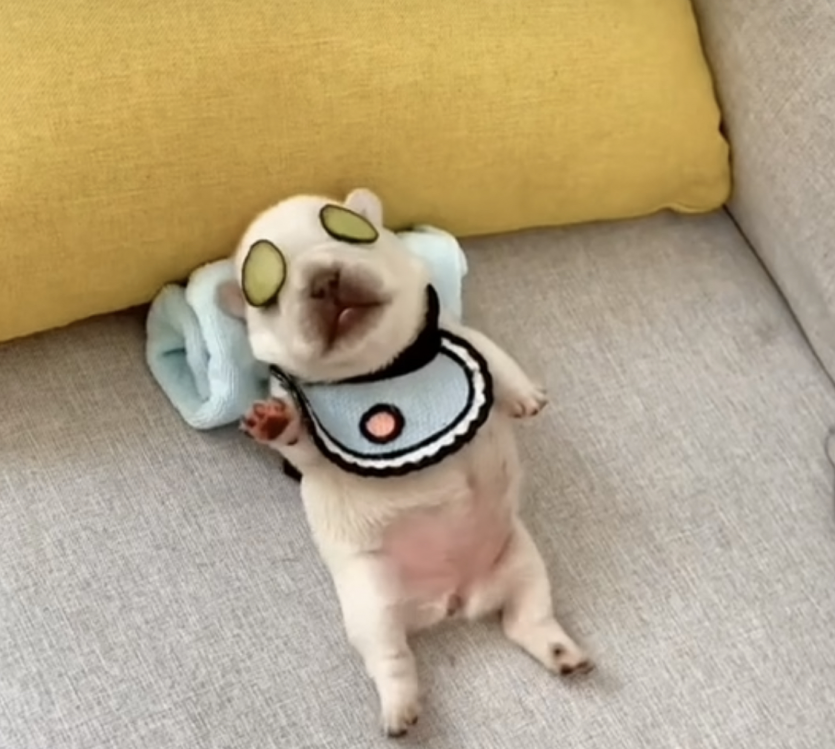 월요일 고생하셨어요!!(0)
