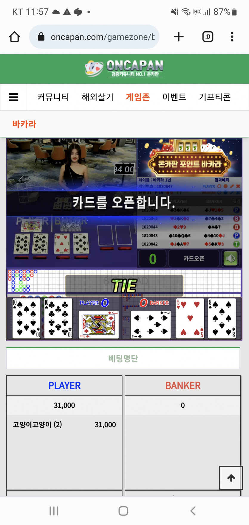 고양이살았다 ㅜ(0)