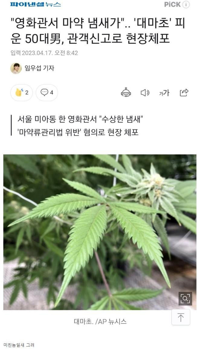 영화관에서 대마피운 50대 男...(0)
