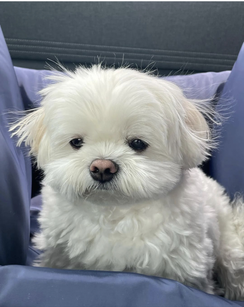씨드님 릴레이..(0)