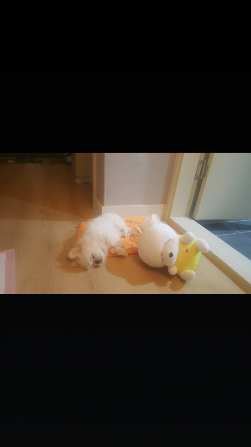 국내스포츠 개인적생각입니다(0)