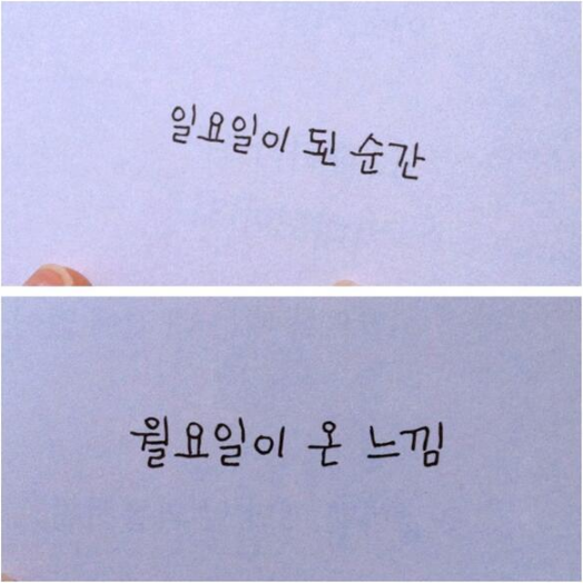월요일 ( 왜나만 미워해 )(3)
