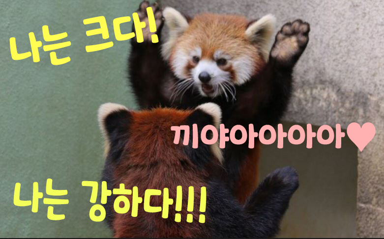 굿모닝이요~~(0)