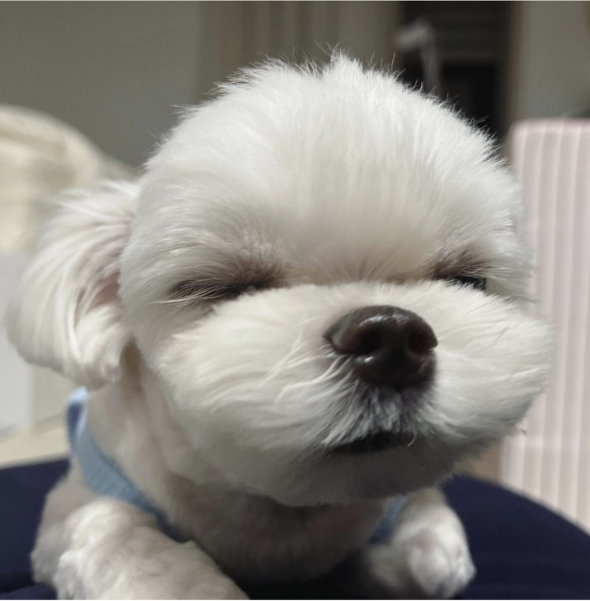 오늘도 좋은하루 되세여ㅎㅎ(0)