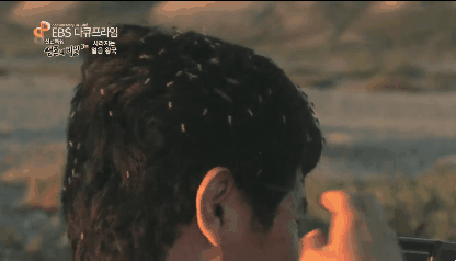 -모기와의전쟁-(0)