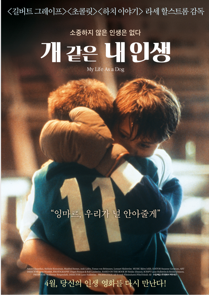 개같은 내인생~(0)
