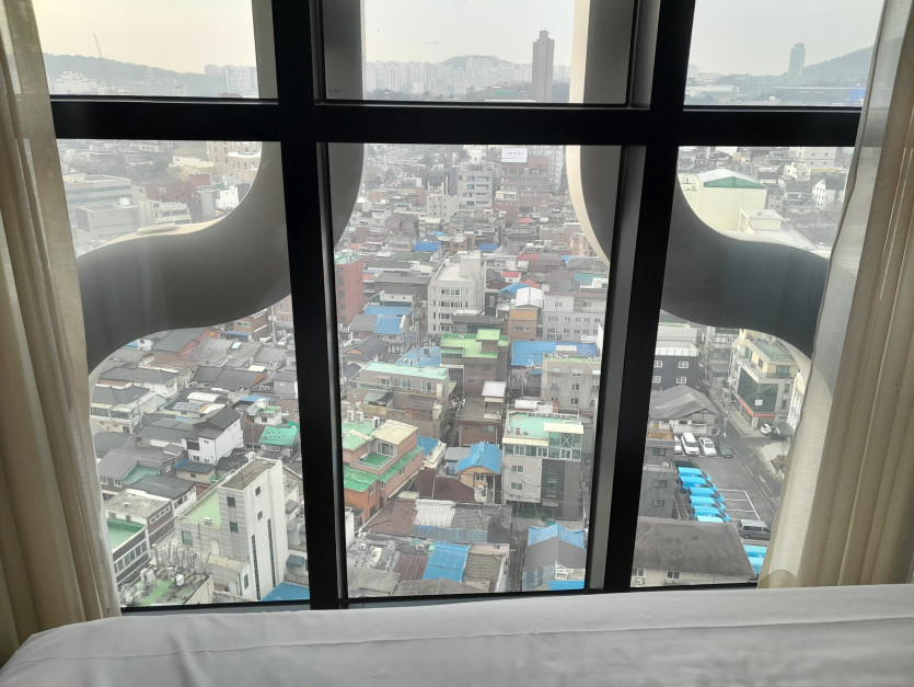 회식후 후회(0)