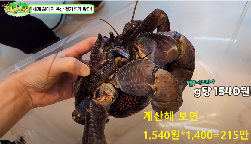 정글의 법칙 초호화 식단 논란(1)