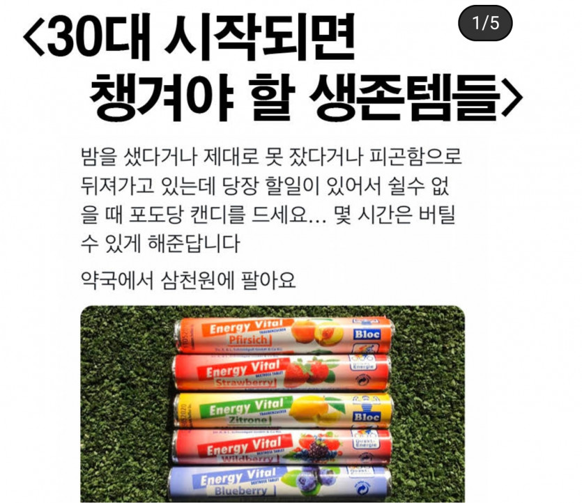 레알꿀팁(0)