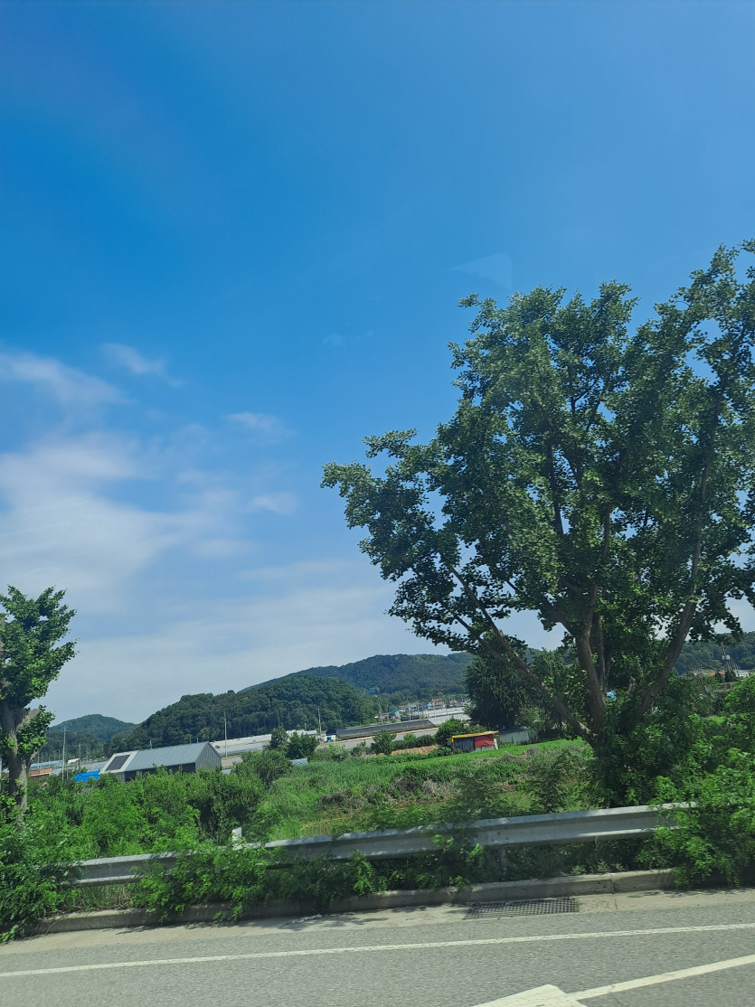 날이 좋네요(0)