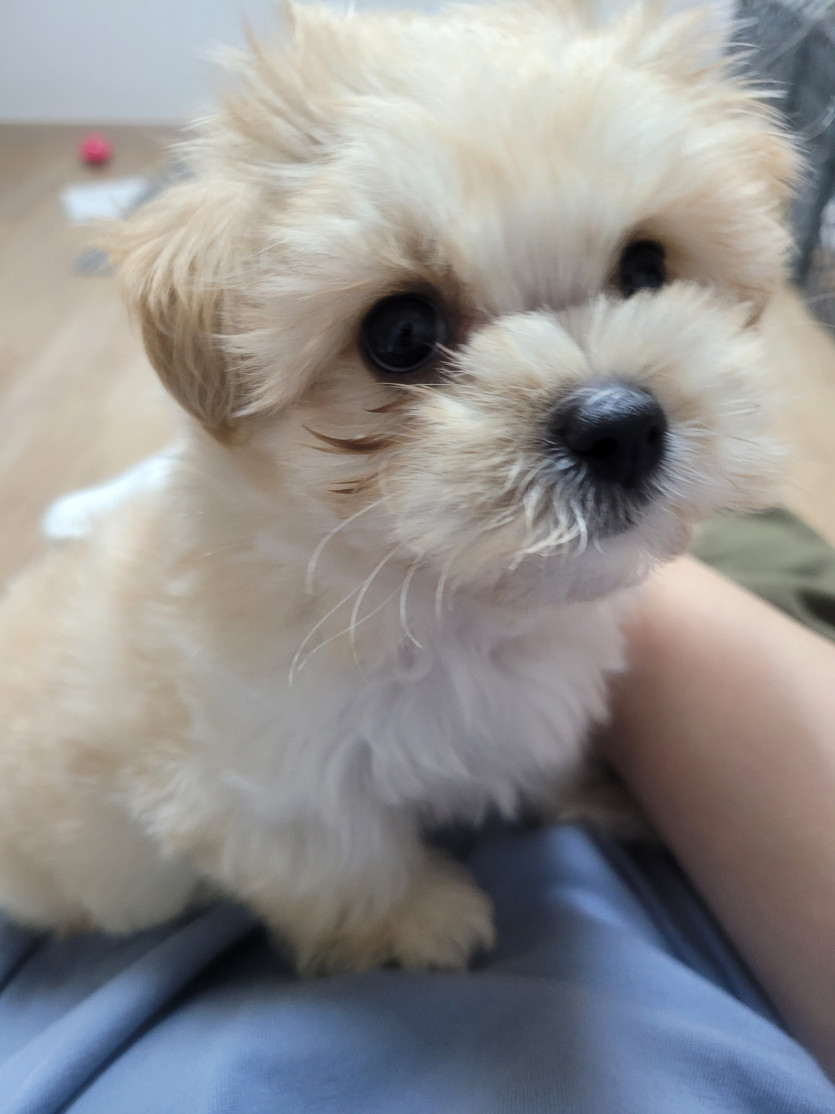 형님들 먼저 들어가보겠습니다!(0)