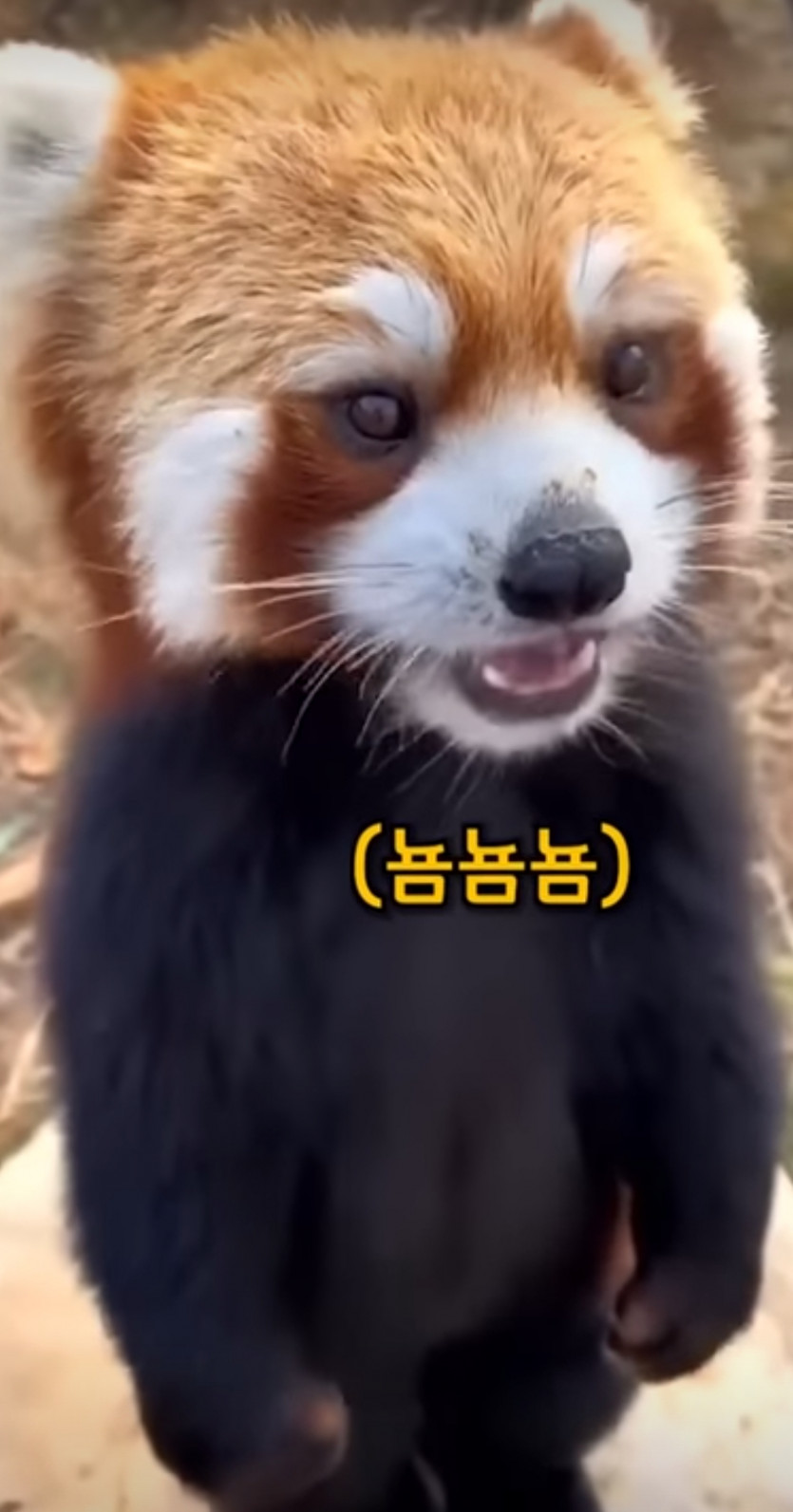 얀카지노 감사(1)