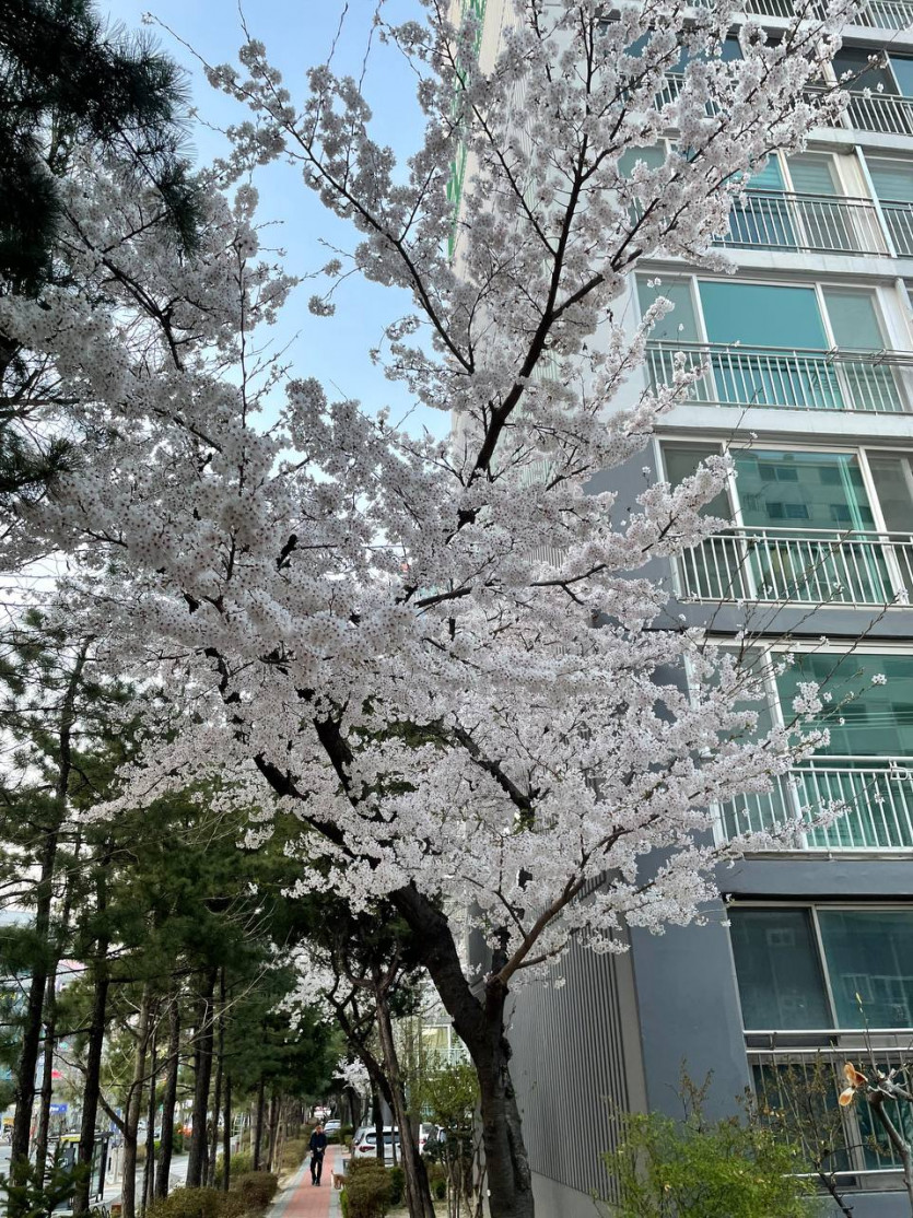 어제 퇴근 길(0)