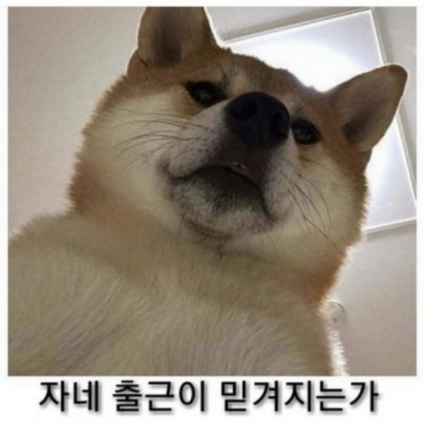 벌써 목요일 화이팅입니다(0)
