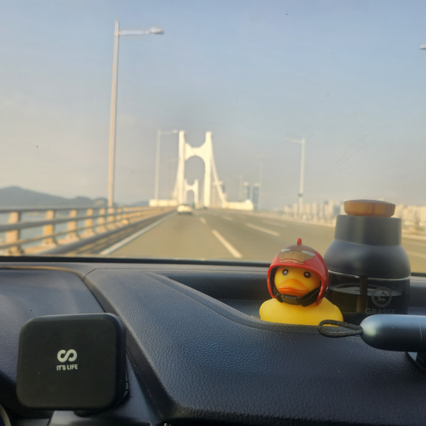 부산살면 좋은점(0)
